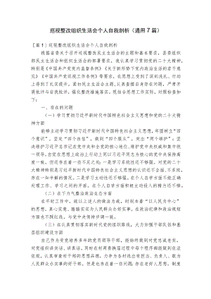 巡视整改组织生活会个人自我剖析(通用7篇).docx