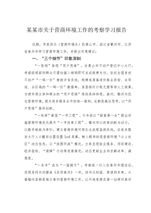 某某市关于营商环境工作的考察学习报告.docx