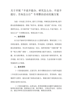 关于开展“不说不能办、研究怎么办不说不能行、告知怎么行”专项整治活动实施方案.docx