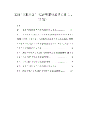 （10篇）某局“三抓三促”行动开展情况总结汇报参考范文.docx