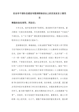 在全市干部队伍建设专题调研座谈会上的交流发言2篇范文.docx