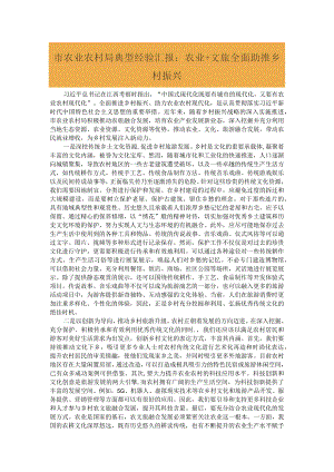 市农业农村局典型经验汇报：农业＋文旅全面助推乡村振兴.docx