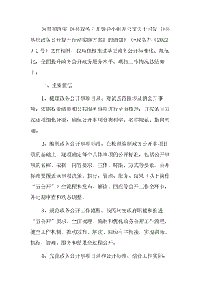 统计局政务公开标准化规范化工作总结.docx