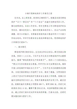 乡镇开展耕地保护工作情况汇报.docx