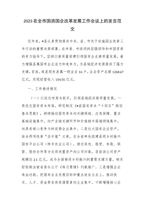 2023在全市国资国企改革发展工作会议上的发言范文.docx