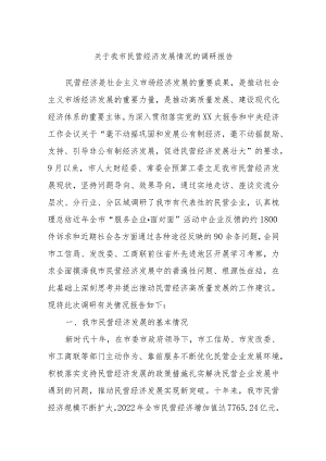 关于我市民营经济发展情况的调研报告.docx