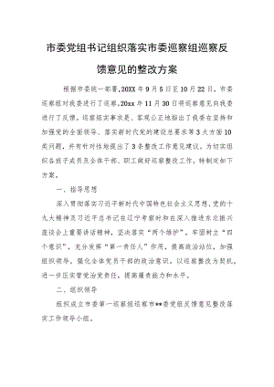 市委党组书记组织落实市委巡察组巡察反馈意见的整改方案.docx