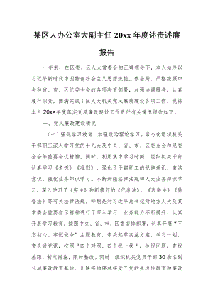 某区人办公室大副主任20xx年度述责述廉报告.docx