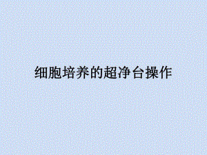 细胞培养的超净台操作.ppt