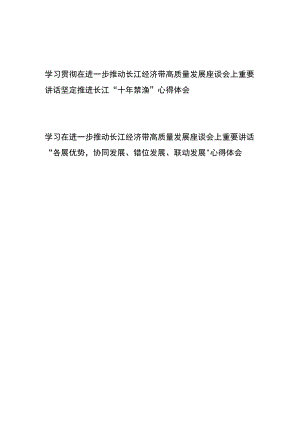 学习贯彻在进一步推动长江经济带高质量发展座谈会上重要讲话(坚定推进长江“十年禁渔”和“各展优势协同发展、错位发展、联动发展”)心得体会共2篇.docx