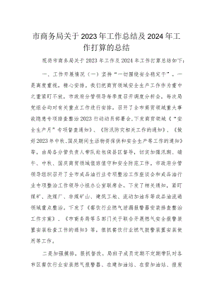 市商务局关于2023年工作总结及2024年工作打算的总结.docx