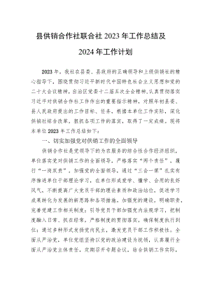 县供销合作社联合社2023年工作总结及2024年工作计划(20231107).docx
