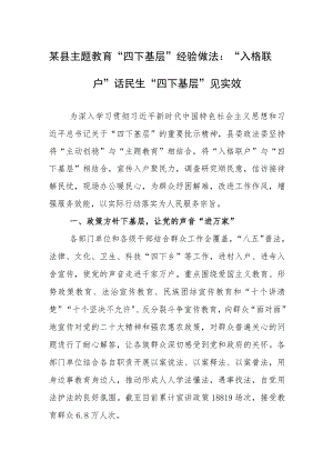 某县主题教育“四下基层”经验做法：“入格联户”话民生“四下基层”见实效.docx