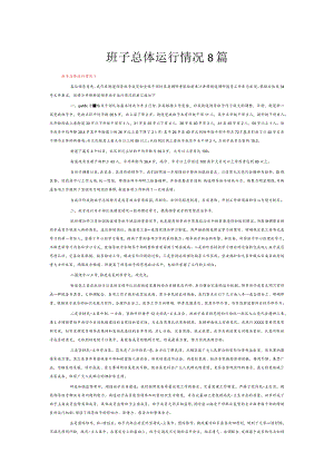 班子总体运行情况8篇.docx