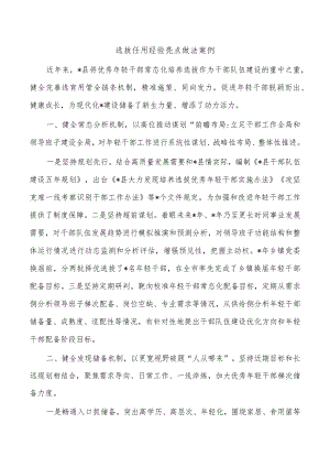 选拔任用经验亮点做法案例.docx