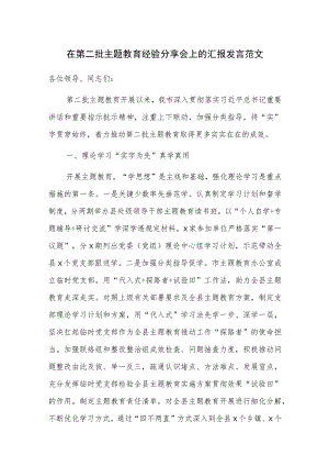在第二批主题教育经验分享会上的汇报发言范文.docx