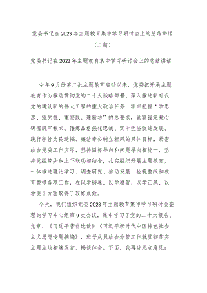 党委书记在2023年主题教育集中学习研讨会上的总结讲话(二篇).docx