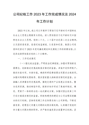 公司纪检工作2023年工作完成情况及2024年工作计划.docx