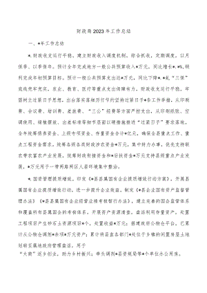 财政局2023年工作总结.docx