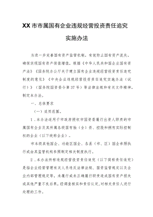 XX市市属国有企业违规经营投资责任追究实施办法.docx