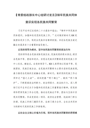 【统战部长中心组研讨发言】铸牢民族共同体意识+实现各民族共同繁荣.docx