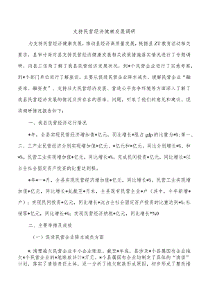 支持民营经济健康发展调研.docx