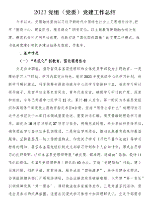 2023党组（党委）党建工作总结.docx