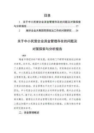 关于中小民营企业资金管理存在的问题及对策探索与分析报告.docx