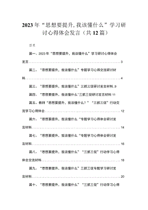 （12篇）2023年“思想要提升我该懂什么”学习研讨心得体会发言精选.docx