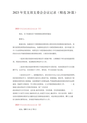 2023年党支部支委会会议记录（精选20篇）.docx