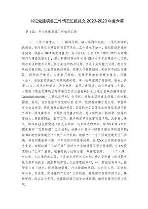 书记党建项目工作情况汇报范文2023-2023年度六篇.docx
