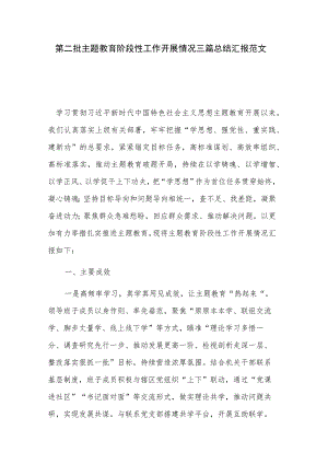 第二批主题教育阶段性工作开展情况三篇总结汇报范文.docx