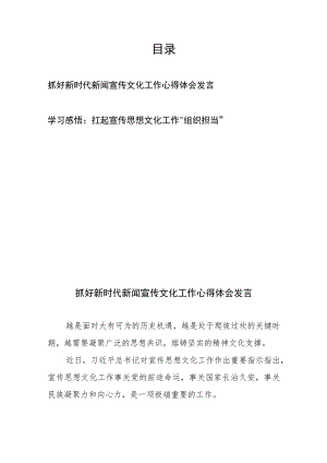 抓好新时代新闻宣传文化工作心得体会发言和学习感悟：扛起宣传思想文化工作“组织担当”.docx
