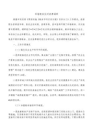 珍惜粮食反对浪费调研.docx