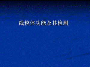 线粒体功能.ppt