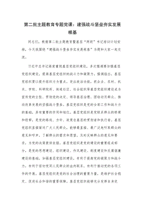 第二批主题教育专题党课：建强战斗堡垒 夯实发展根基.docx