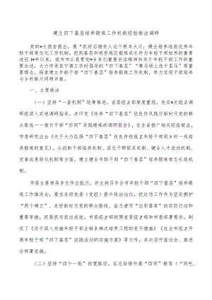 建立四下基层培养锻炼工作机制经验做法调研.docx