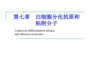 [宝典]白细胞分化抗原.ppt