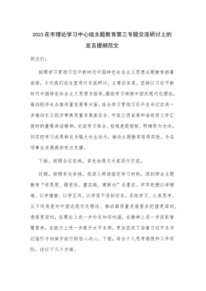 2023在市理论学习中心组主题教育第三专题交流研讨上的发言提纲范文.docx