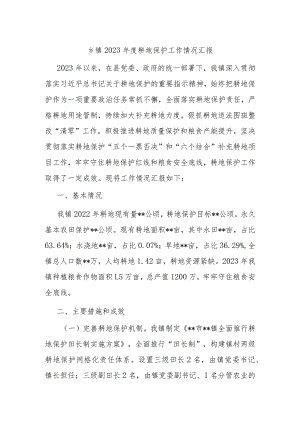 乡镇2023年度耕地保护工作情况汇报.docx