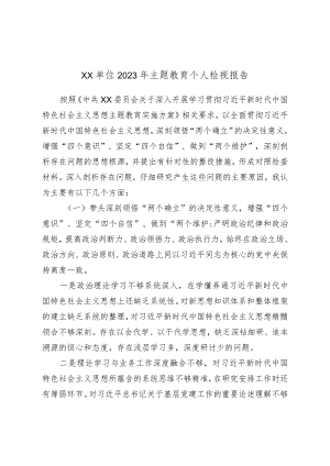 XX单位2023年主题教育个人检视报告.docx