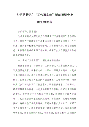 乡党委书记在“工作落实年”活动推进会上的汇报发言.docx