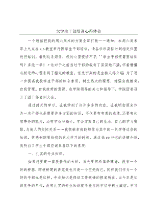 大学生干部培训心得体会.docx