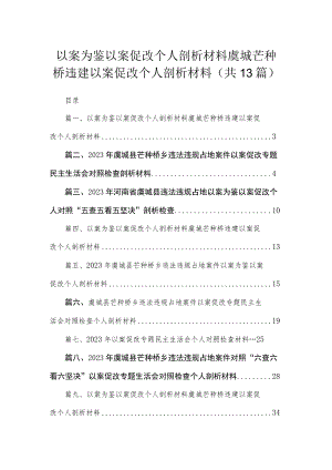 （13篇）以案为鉴以案促改个人剖析材料虞城芒种桥违建以案促改个人剖析材料精编.docx