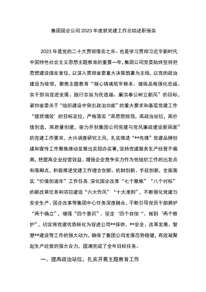 集团国企公司2023年度抓党建工作总结述职报告.docx
