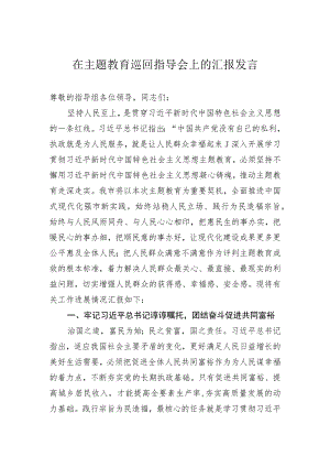 在主题教育巡回指导会上的汇报发言.docx