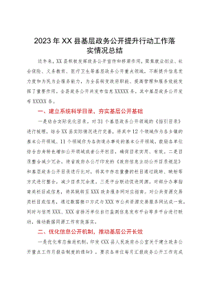 2023年县基层政务公开提升行动工作落实情况总结.docx