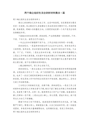 两个确立组织生活会剖析材料集合7篇.docx