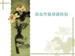 溶血性链球菌检验培训PPT讲义.ppt