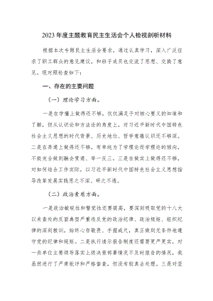 2023年度主题教育民主生活会个人检视剖析材料范文2篇.docx